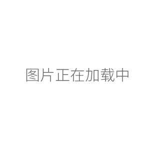 海门其林贝尔微孔板快速振荡器（调速、定时）QB-9001